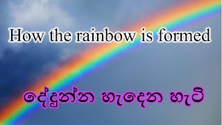 the rainbow - දේදුන්න කියන්නේ මායාවක් !