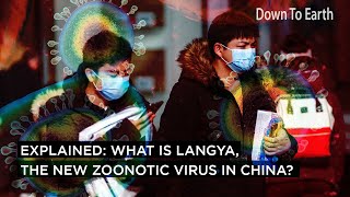 Explained: What is Langya, the new zoonotic virus in China?