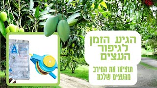 מה המכשיר הטוב ביותר לגיפור עצי פרי מנגו ואבוקדו?  מגפר לעצים MATABI ליישום אבקות וגיפור