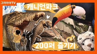 I went to the Canyon Park Zoo! Meet animal friends, experience, ride rides, and trick art! GrimamaTV