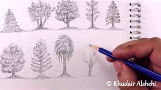 كيفية رسم شجرة البلوط بالخطوات