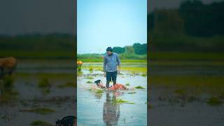 Chin Tapak Dam Dam | #kingactor #ranjeetsonam #short #shorts