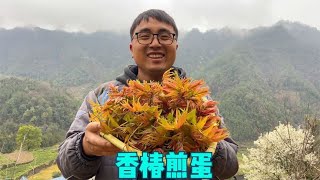 春天的湖南大山，野菜吃个不停，冬宝摘一篮子香椿煎鸡蛋，太香了