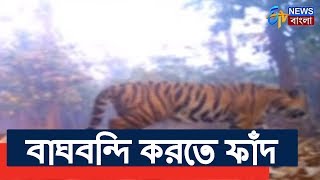 লালগড়ের জঙ্গলে বাঘ ধরার প্রস্তুতি