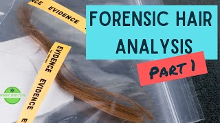 Forensic Science and Hair Analysis Part 1: