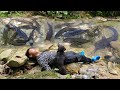 Orphaned boy Nam's arranged rocks to block the stream and placed bamboo cages to catch fish to sell