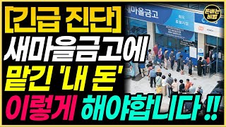 [긴급] 새마을금고 부실 부도? 예적금하셨다면 이렇게 해야합니다. (새마을금고 예금자보호)