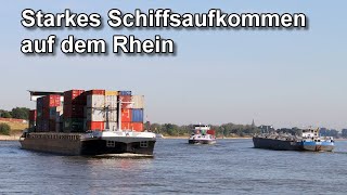 Rhein Shipspotting - Binnenschifffahrt - Rushhour