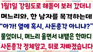 (반전신청사연)1월 1일 강원도로 해돋이보러가니, 며느리와 한 남자를 목격하는데 \