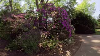 Keithan Bluebird Garden 360º