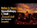 Mellow & Sleazy, SjavasDaDeejay & TitoM - Imnandi lento (feat. Tman Xpress) [Acapella]