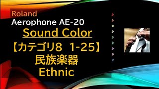 Aerophone AE-20 音色 【カテゴリ8 1-25 民族楽器】