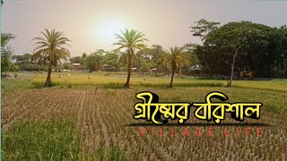 রূপসী বাংলা | বরিশালের গ্রাম | village of Barishal | memories by gmr.