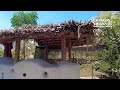 the maasai homestead off grid living in kenya 2022 bomanoma narok asmr urlaub in afrika