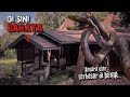 APA YANG ADA DALAM TU !! | TERATAK USANG INI TERBIAR DAN MEMBAHAYAKAN | ULAR BESAR DI HUTAN..