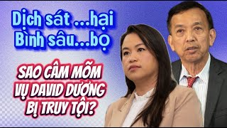 “Vụ án hối lộ” David Dương- Sheng Thao: Bước kế tiếp ai phải đi tù?.