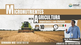 Micronutrientes en la Agricultura: Importancia y Uso Eficiente