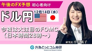 ドル円 今夜の重要ポイント「今夜は大注目のFOMC（日本時間28時～）」2022/12/14