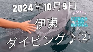 【海洋】２０２４年１０月９日伊東ダイビング♪②【スキューバダイビング】【マンツーマン】#ダイビングツアー #伊東 #伊豆 #ダイビング　#diving