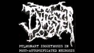 Infester - split with Hyperemesis [FULLALBUM 2011]