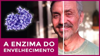 É possível parar o processo de envelhecimento? Ayurveda e as terapias de rejuvenecimento