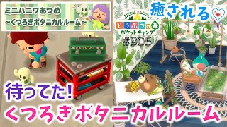 【ポケ森】癒し♡ミニハニワあつめ～くつろぎボタニカルルーム～スタート！【どうぶつの森ポケットキャンプ】 無課金