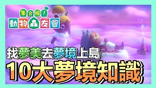 《動物森友會》 10大夢境知識 ! 更新後找夢美去夢境上島玩摟  ! | 新手 | 攻略 | 教學 | 夢境 | 煙火大會 | 測試【小貓奈奈】