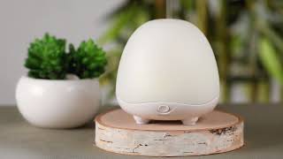 SpaRoom® BellaMist™ Ultrasonic Essential Oil Diffuser