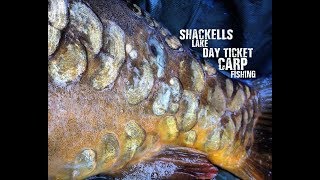 Shackells Lake || Day Ticket Carp Fishing
