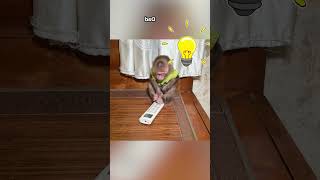 Monkey NANA wants to turn on the air conditioner and needs dad's help #shorts #smartmonkey #monkey