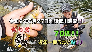 令和２年６月27日九頭竜川源流！！祝鮎解禁！！７０匹！！近年一番うまい鮎♪♪