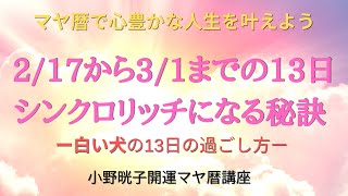 【マヤ暦】白い犬の13日の過ごし方は？シンクロリッチ になる秘訣！