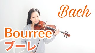 【バッハ】ブーレ Bach Bourree - Suzuki violin vol.3 鈴木メソード第3巻、新しいバイオリン教本第3巻