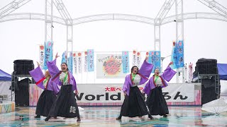 [4K] よさこいソーラン龍〔華組〕　大阪ベイエリア祭Worldあぽろん 2023