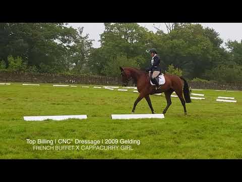 RLE Top Billing | CNC* Dressage | 2009 Gelding - YouTube