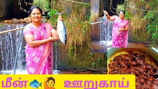 ✨6 மாதம்கெட்டுப் போகாம இருக்கும் இந்த 🐟ஊறுகாய்#food# home@priyamaana thozhi#diml #fish pickle Tamil#