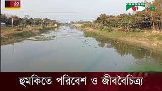 দখলে অস্তিত্ব হারাচ্ছে মধুমতী নদী