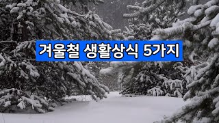 건강상식. 겨울철 생활 상식 5가지. 건강하게 #겨울보내기