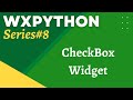 wxPython Tutorial 8: CheckBox Widget