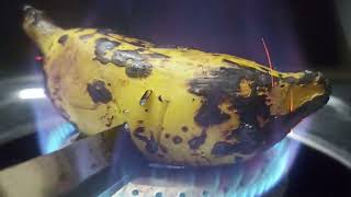 EXPERIMENT ! BANANA ON THE FIRE ! BANANA VS FIRE ! FIRE VS BANANA ! BANANA VIDEOS ! THE GALAM