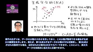 75 主成分分析と特異値分解