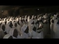 HYMN 168-Ndiani Pane Zamba-AAC