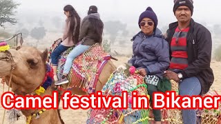 Camel festival in Bikaner Rajasthan