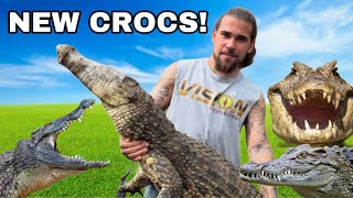 6 New CROCODILES! (Croc Farm TOUR!)