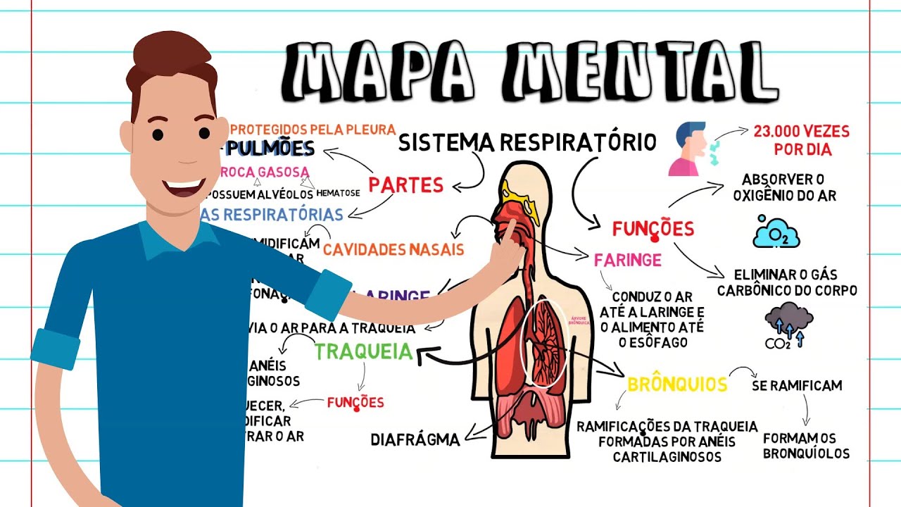 Sistema Respiratorio Humano Mapa Mental