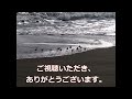 詩）ある時 山村暮鳥　朗読：向井智子