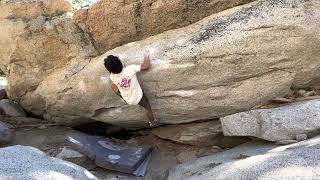 Mangus (V5) flash - Tramway