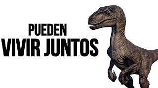 🦕 Qué dinosaurios PUEDEN ESTAR JUNTOS en Jurassic World Evolution