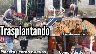 Macetas bonitas para mis plantas🪴🌿 / Cumple de Jos 🥳/ El sushi más rico 🍣