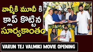 Varun Tej New Movie With Harish Shankar Opening | Valmiki Movie Opening | Niharika | #Valmiki | hmtv